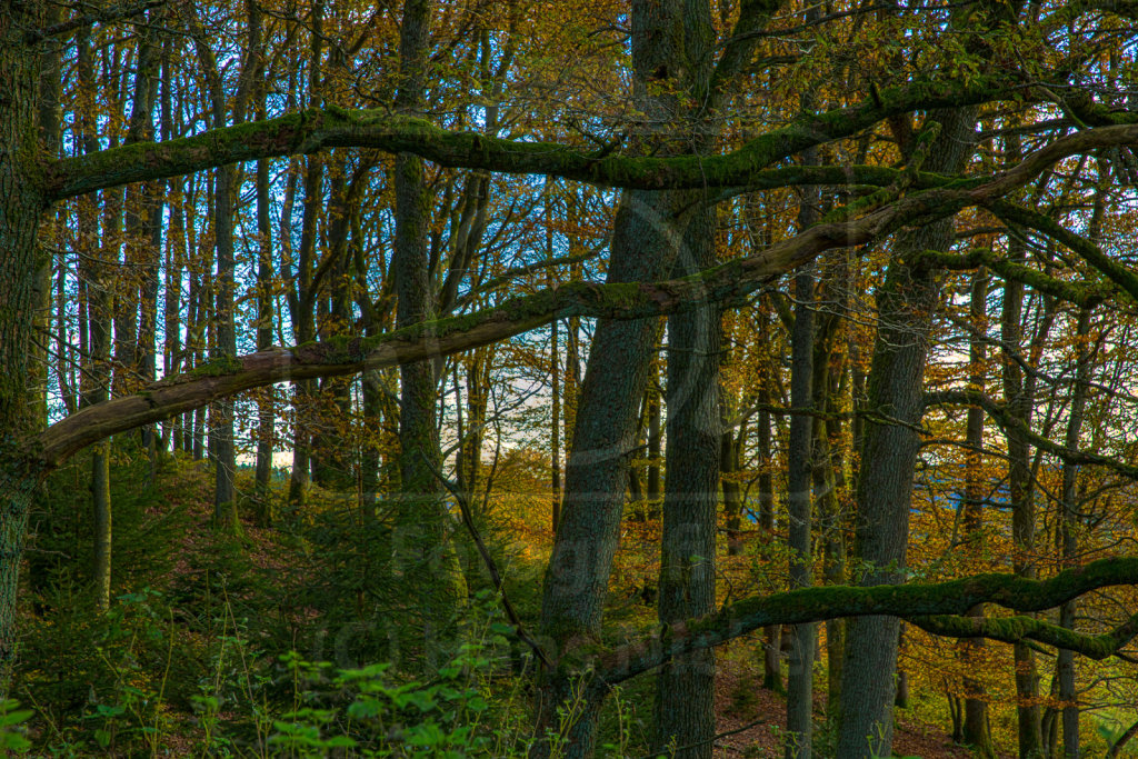 im Sauerland bei Echternhagen