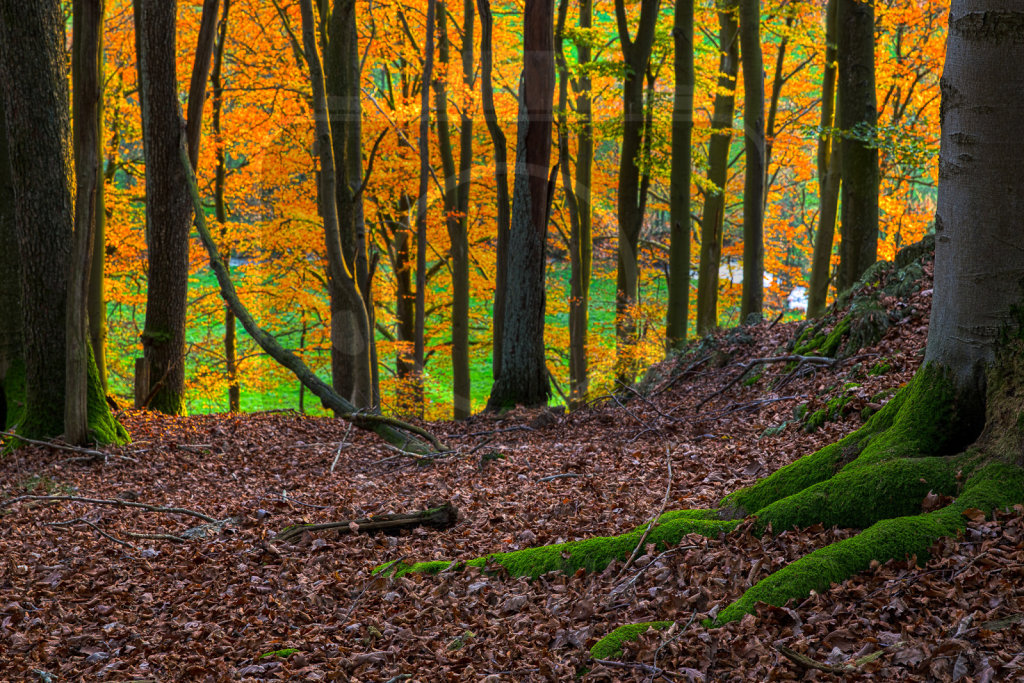 Herbstfarben