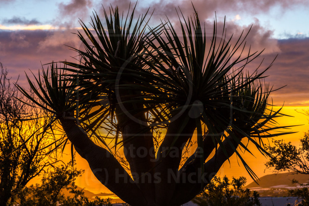 Kanarische Inseln / Canaries