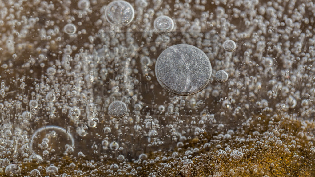 Bubbles (2)