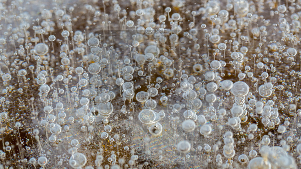 Bubbles (3)