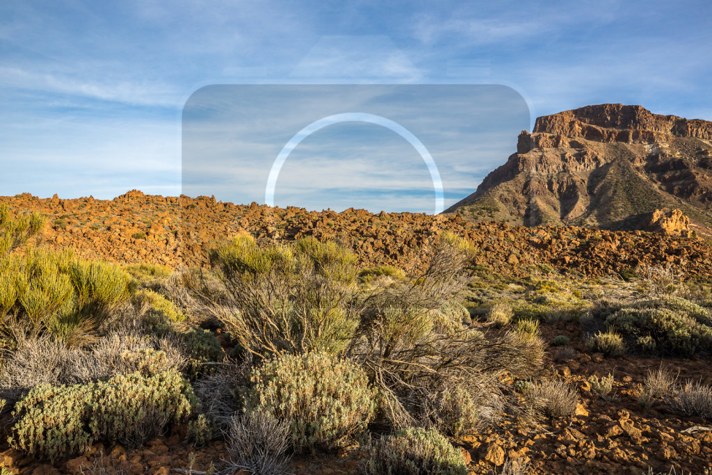 Canadas Del Teide