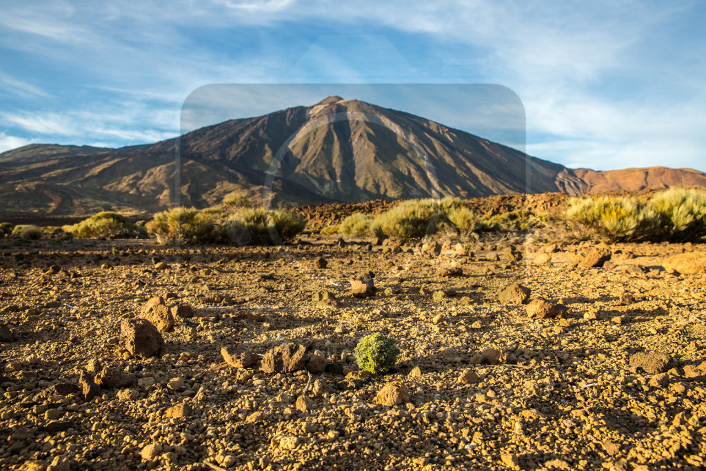 Canadas Del Teide