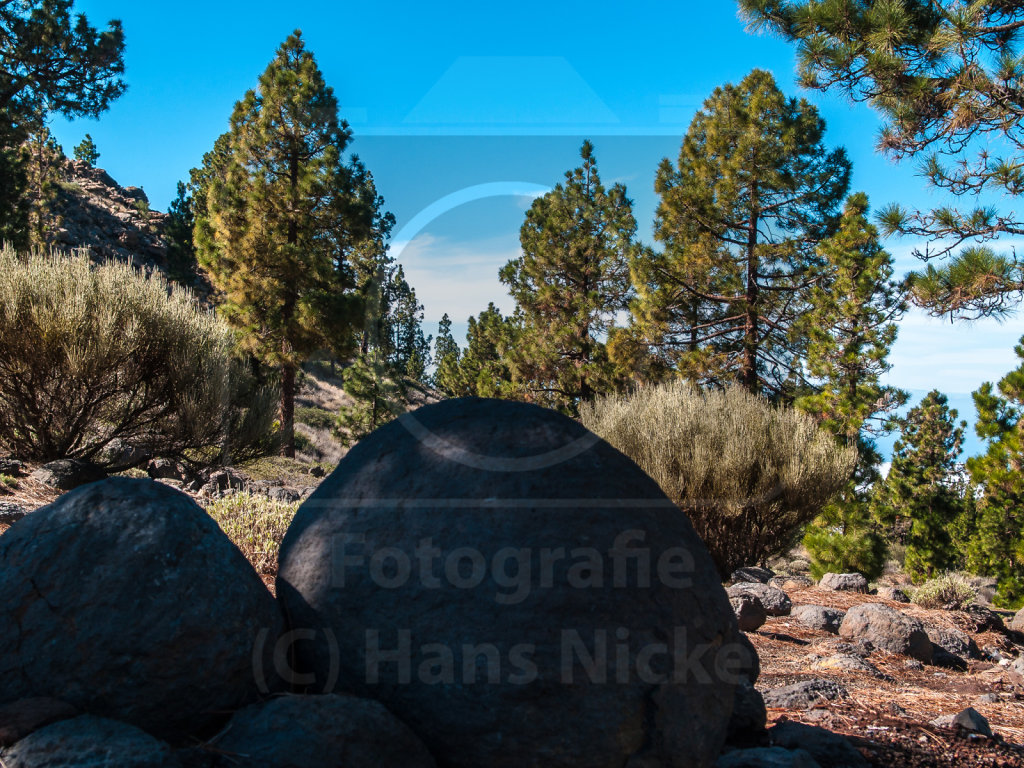 Parque Natural De La Corona Forestal