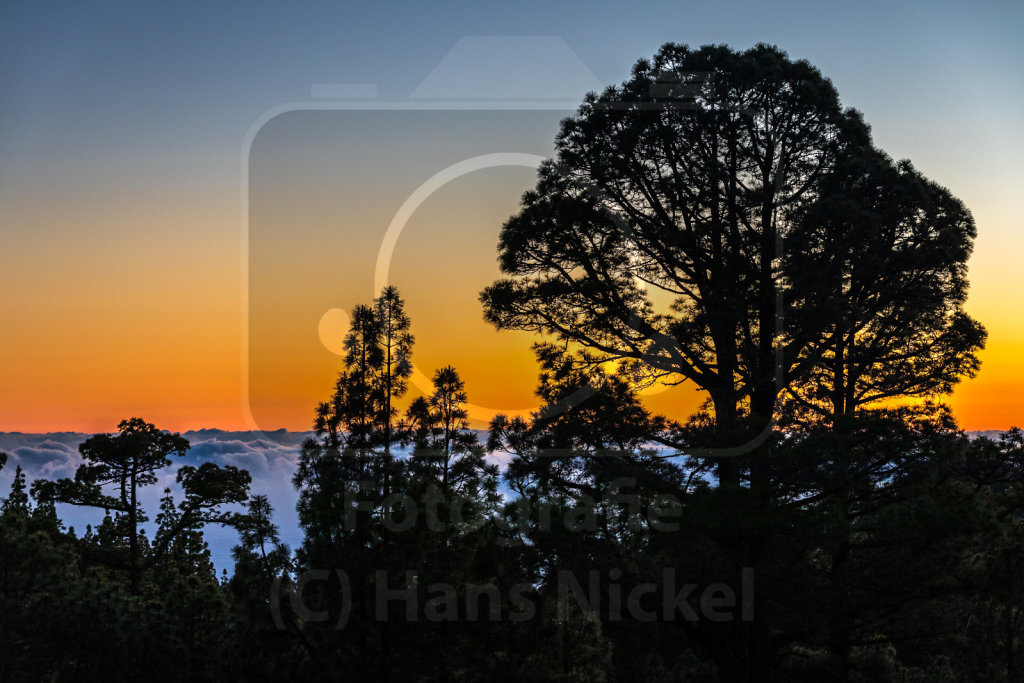 Sonnenuntergangs-Szenerie im Bergwald